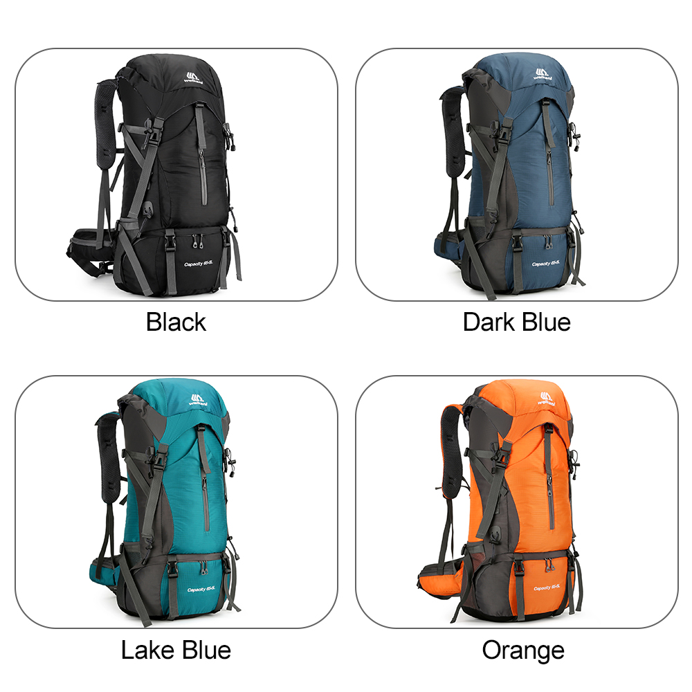 70L Travel Backpack Hiking Bac - огляд і ціна Rain Cover Backpack
